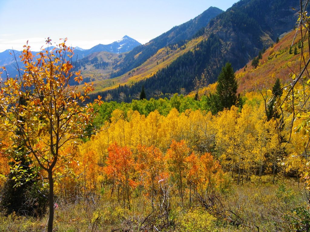 Colorado Fall Drives