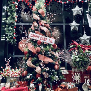 Events this weekend in Fort Collins